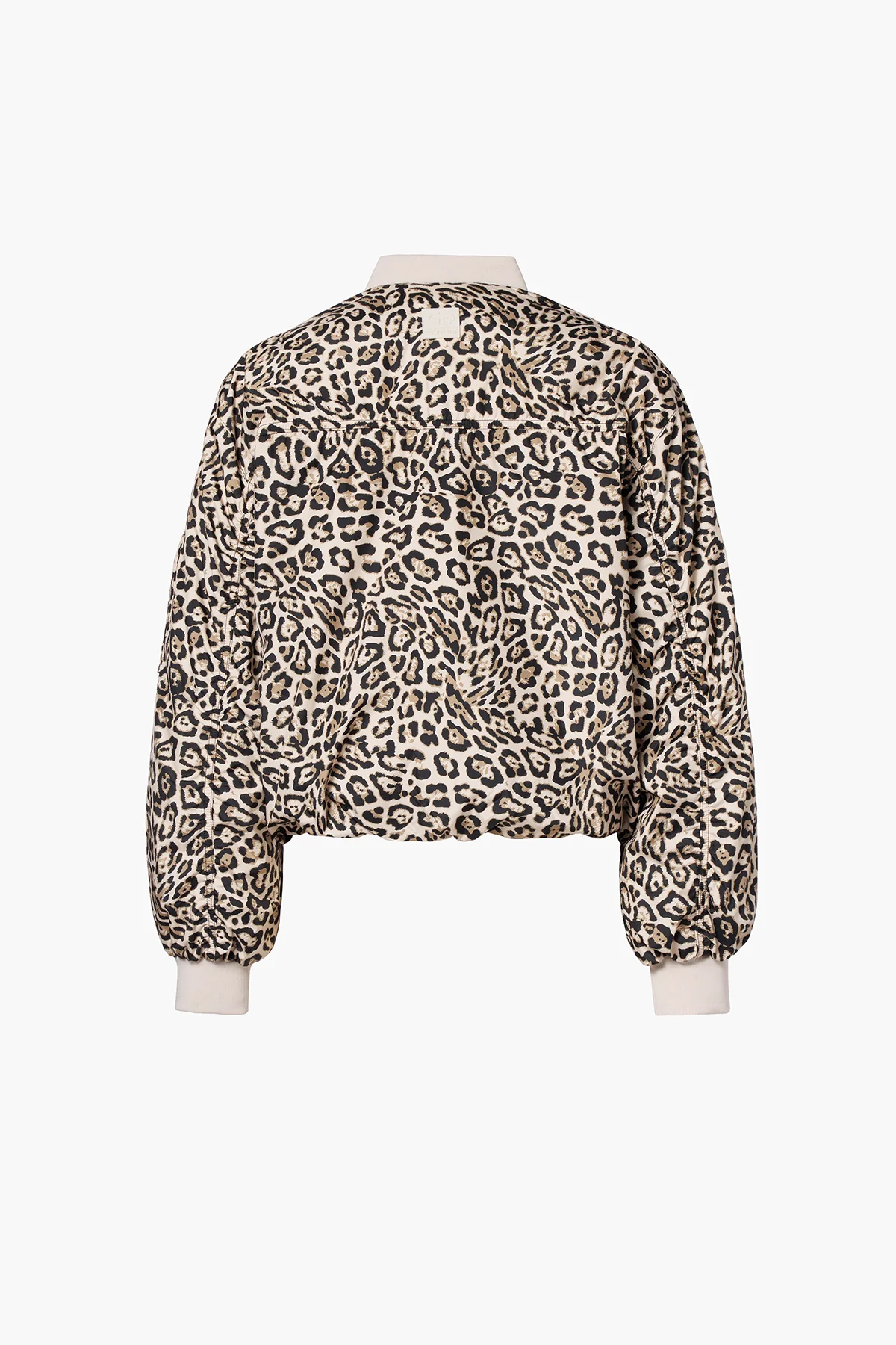 ZEPHYR jacket - Image 5